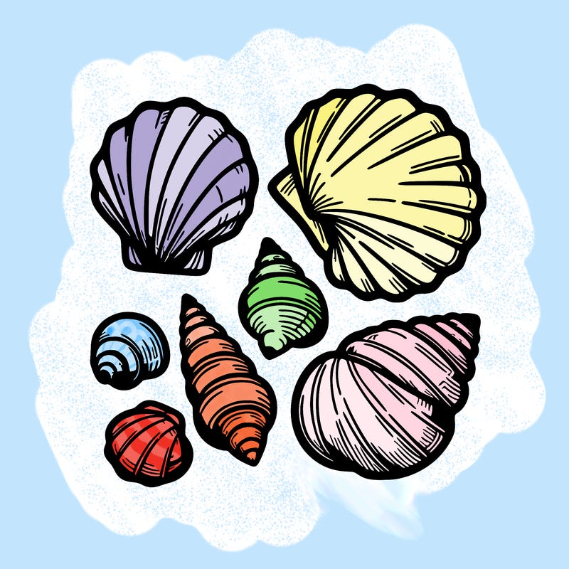 shells