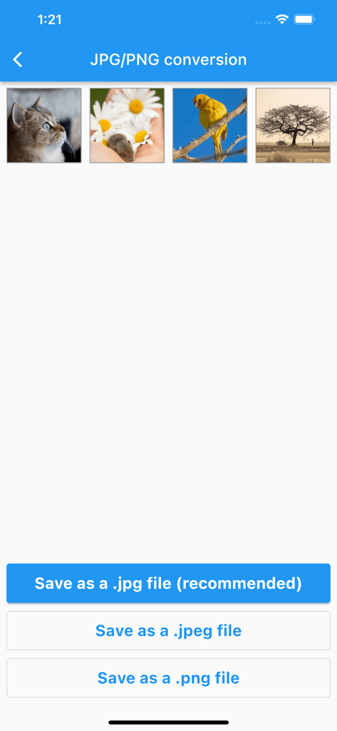 Une interface montrant plusieurs photos sélectionnées et des boutons pour les enregistrer en fichiers JPG, JPEG ou PNG.