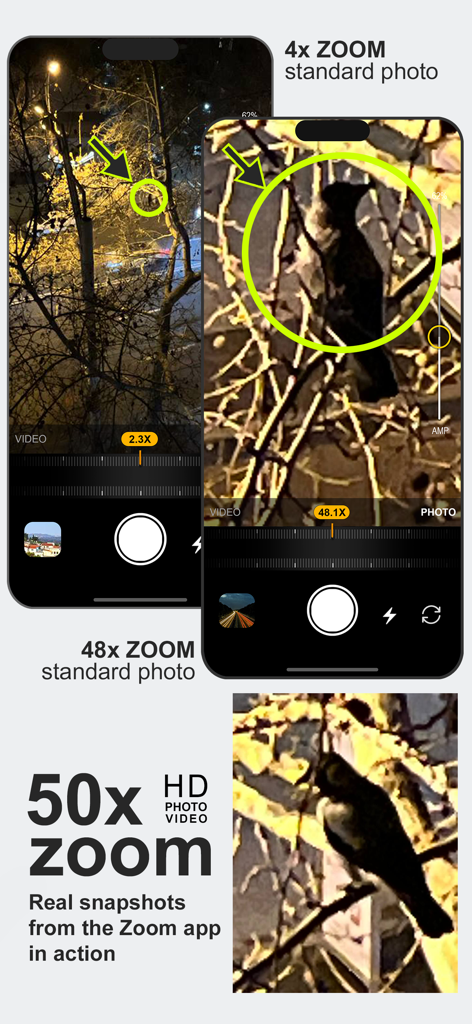Vergleich von Standardzoom und 50-fachem Digitalzoom, der einen Vogel nachts in einem Baum zeigt