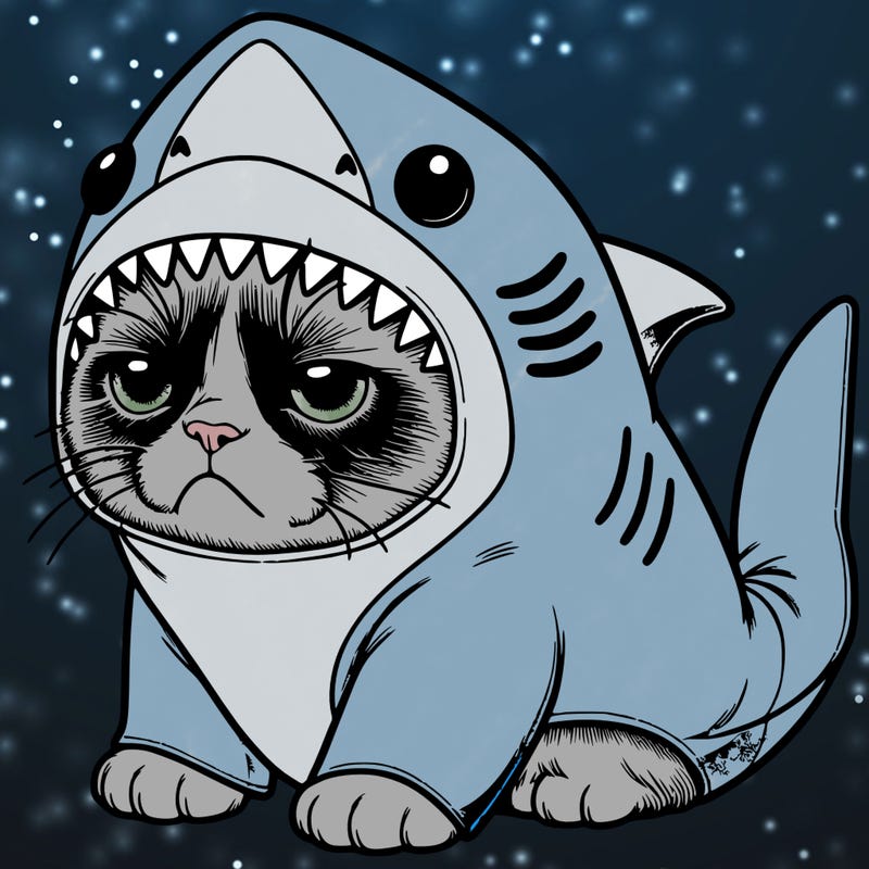 a realistic grumpy cat wearing a cute shark costume