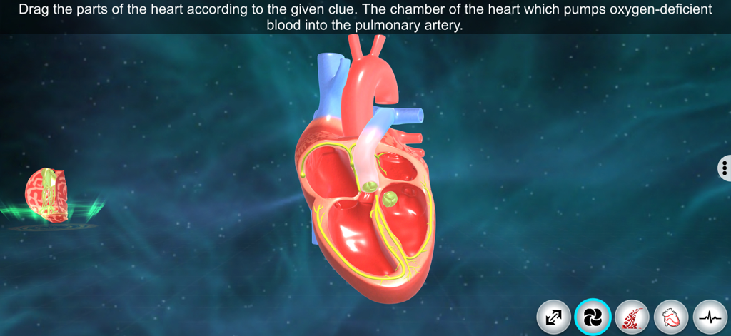 Heart - EduTech Era - A screen from the Heart EduTech Era app showing an interactive 3D heart anatomy quiz with a model of the human heart