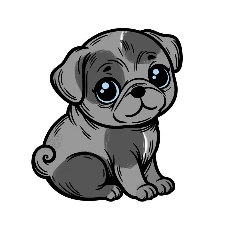 baby pug