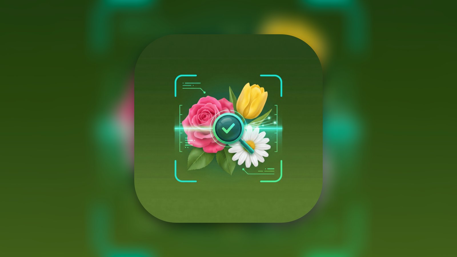 Flower Identifier | Plant Care - Reference App | MWM
