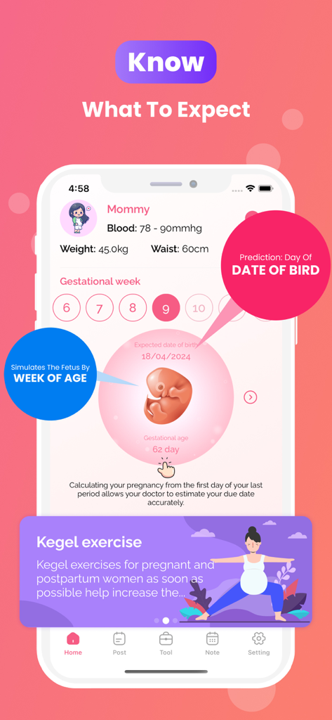 My Baby Heartbeat Monitor App - Interfaz de la aplicación de seguimiento de embarazo que muestra el desarrollo fetal en la novena semana y estadísticas de salud materna