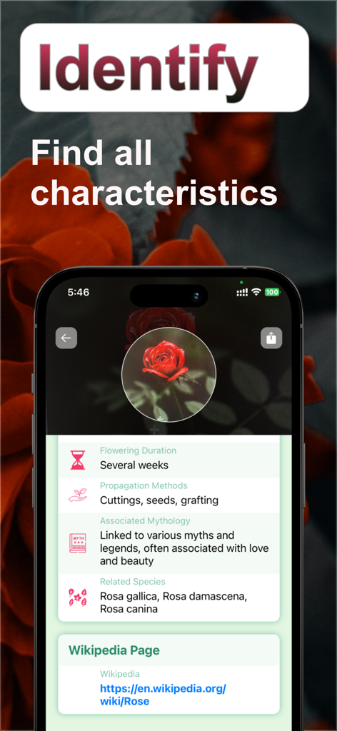 FlowerAI: Identify Flowers - FlowerAI app screenshot displaying botanical details like flowering duration and propagation methods for a rose.