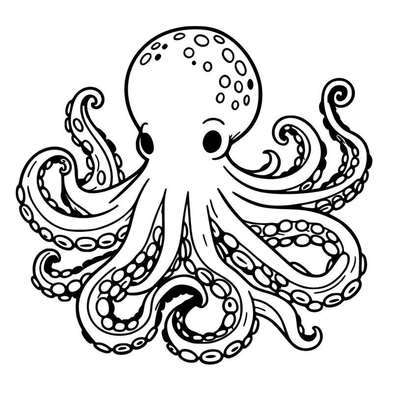 octopus