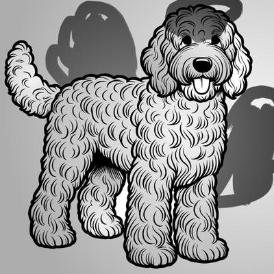 realistic labradoodle dog