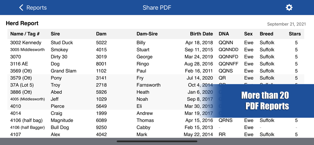HerdBoss - HerdBoss app showing a detailed herd report PDF with columns for animal lineage birth dates and genetic information