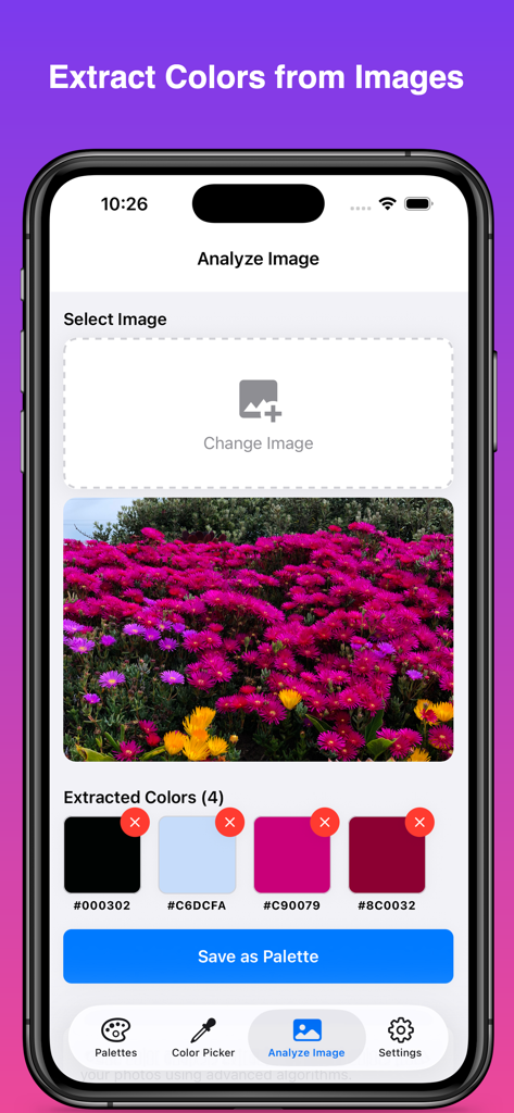 Die Benutzeroberfläche der ColorKit-App zeigt die Extraktion von Farbfeldern mit Hex-Codes aus einem Foto von lila und gelben Blumen