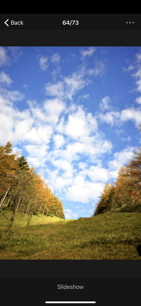 NIKON IMAGE SPACE - Vue photo plein écran d'un paysage d'automne dans l'application mobile Nikon Image Space