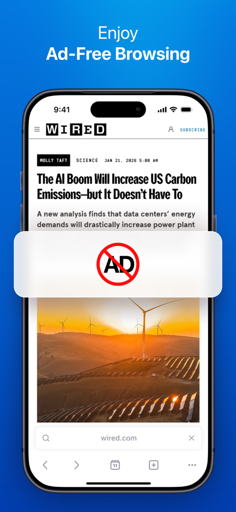 A smartphone showing the PiP Browser interface blocking ads on a news website article.