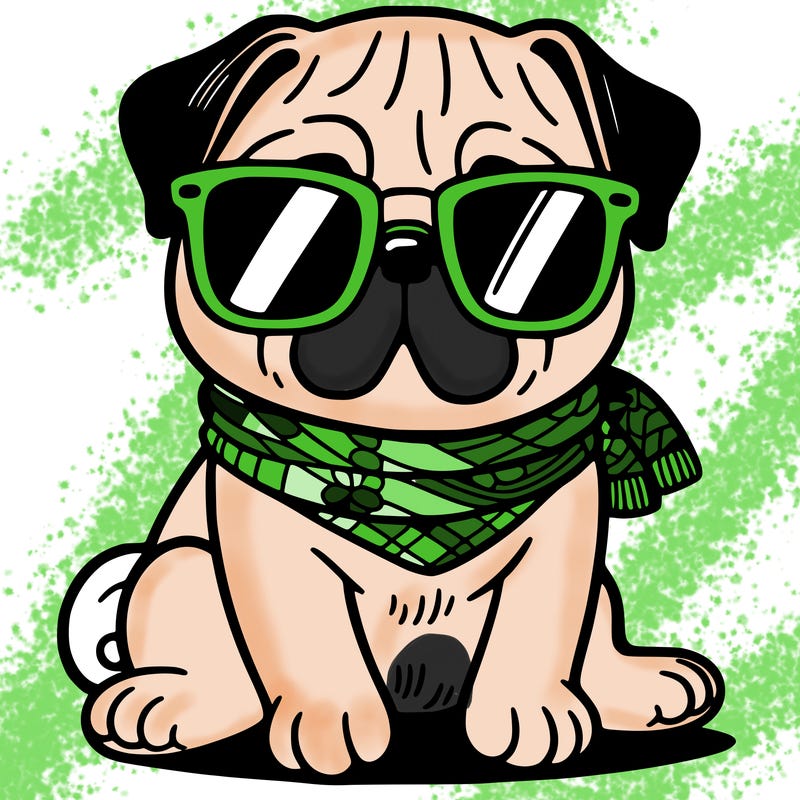 a pug with sunglasses
