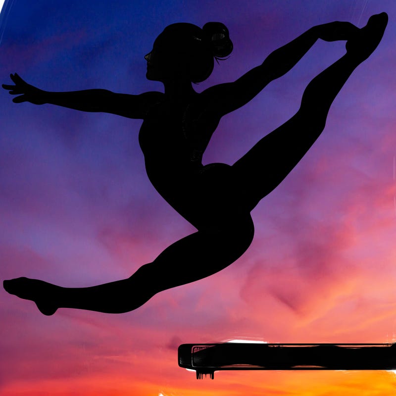 realistic professional gymnast