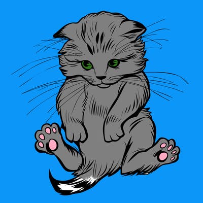 animals_20