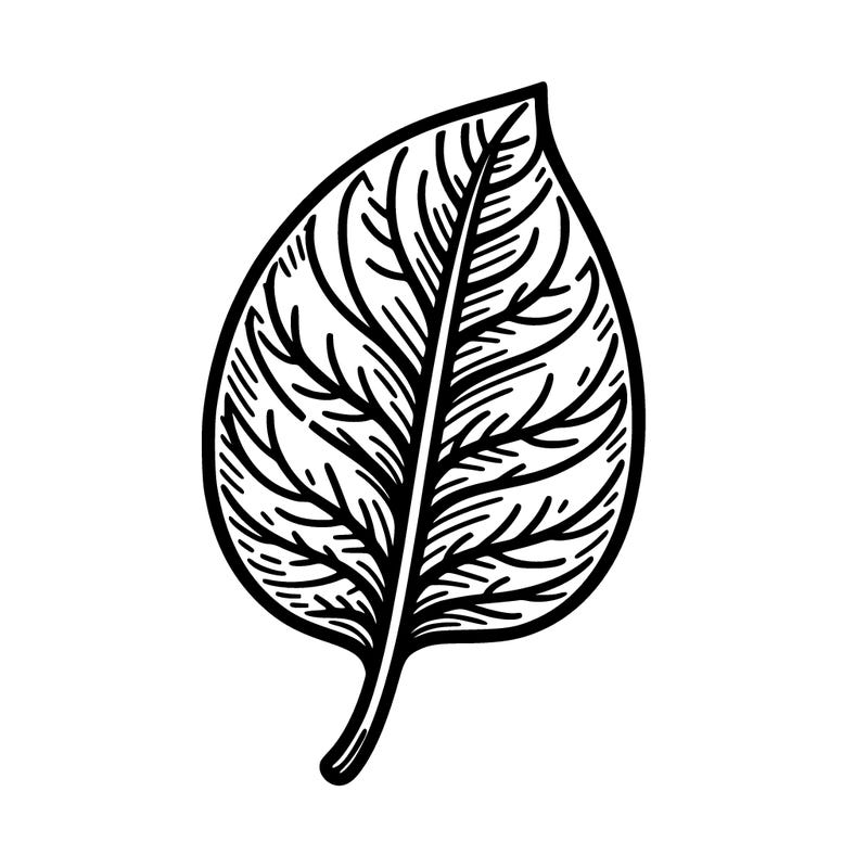 leaf