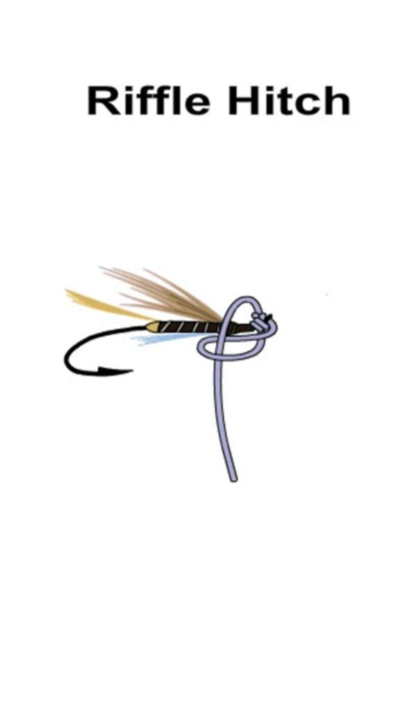 Animated Fishing Knots - Illustration of a riffle hitch knot being tied to a fishing fly hook
