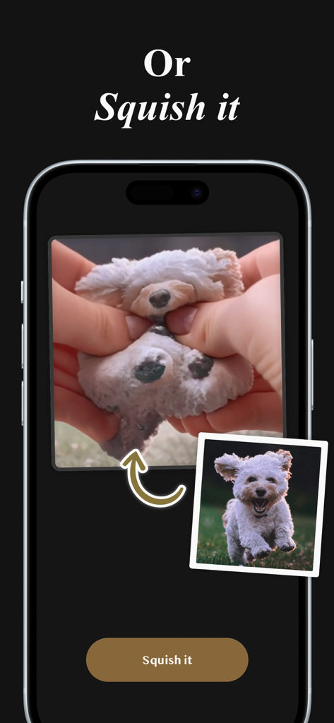 Interfaz de la aplicación AI Pika Art mostrando el efecto de vídeo squish en la foto de un perro