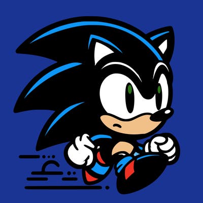 soinc the hedgehog  video game