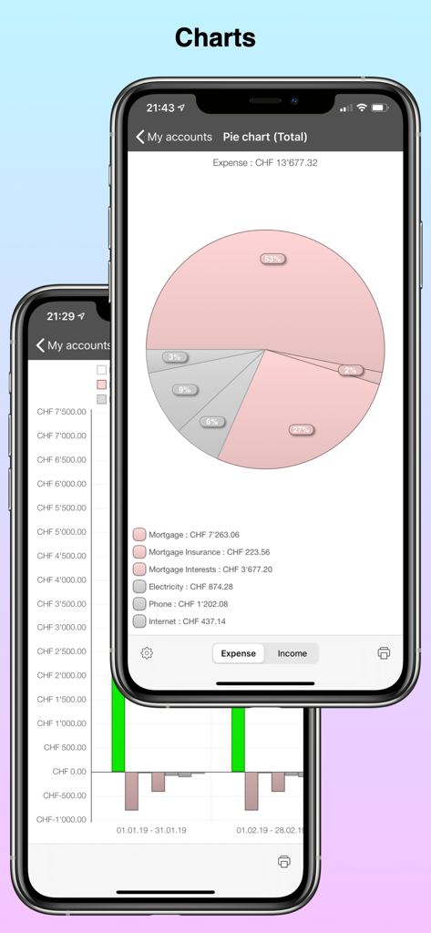PocketMoney app interface displaying a detailed expense pie chart and historical financial bar graphs for professional budgeting.