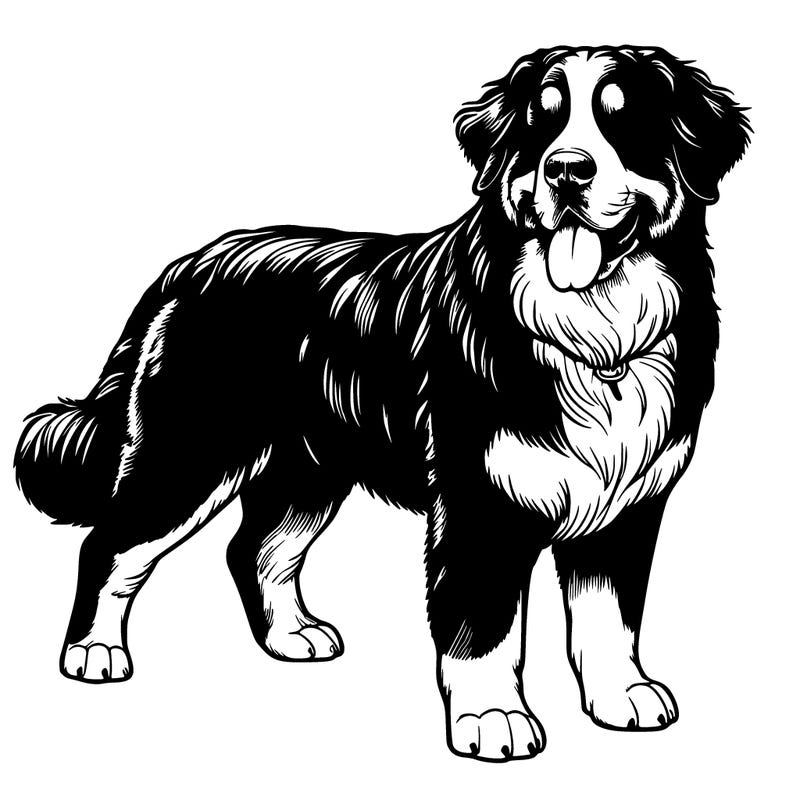 realistic bernese mountain dog