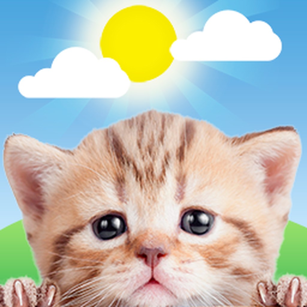 Weather Kitty: Weather + Radar - Weather App | MWM