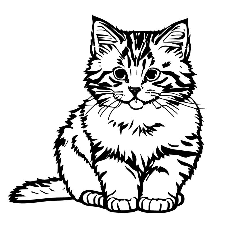 cute fluffy kitten sitting down