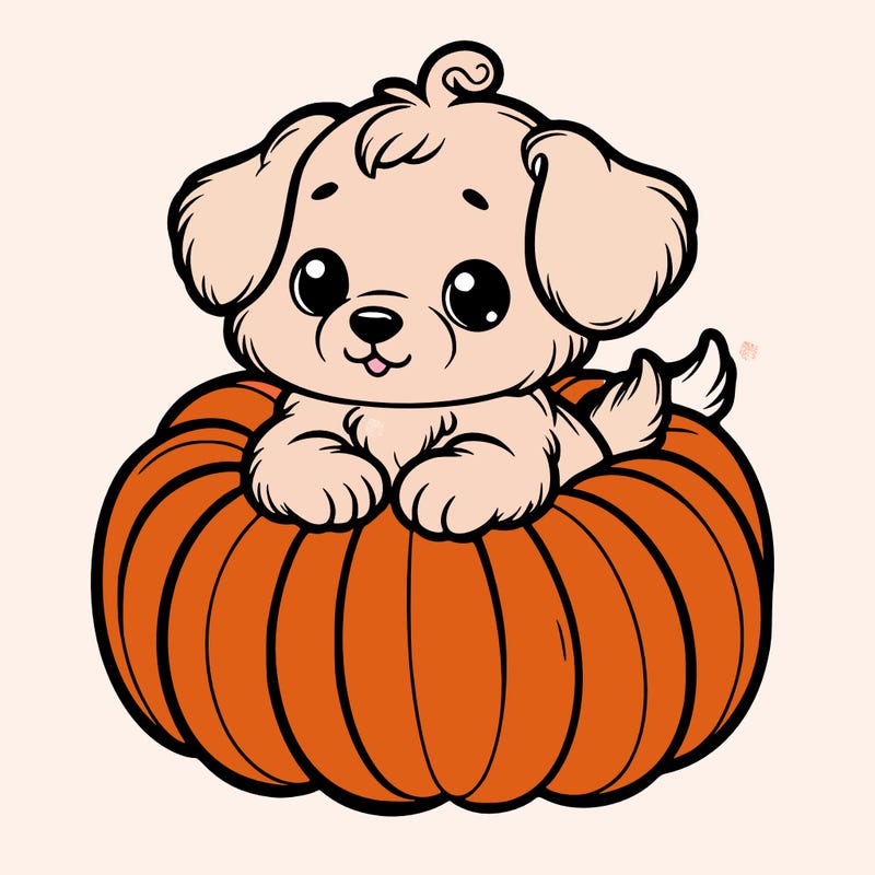 cute little puppy in a pumpkin