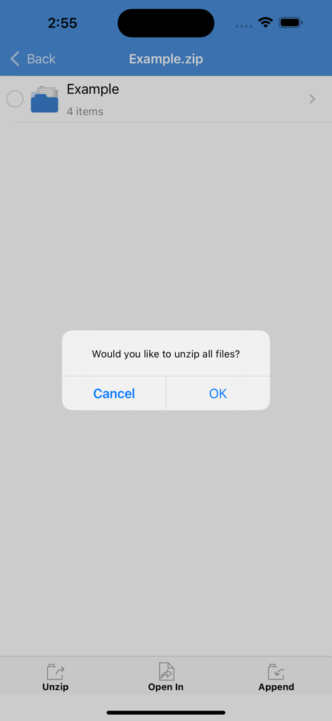 A confirmation dialog in the iZip Pro app asking the user if they would like to unzip all files from a zip folder