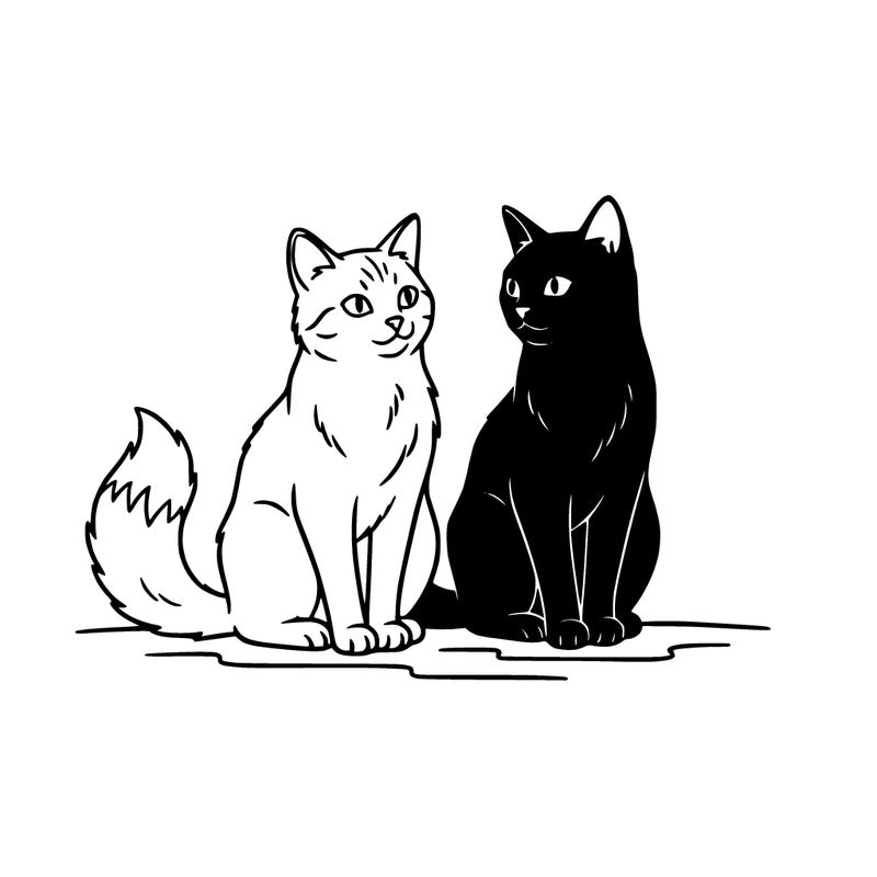 ginger cat sitting next to black cat