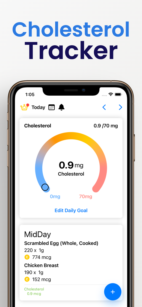 Cholesterol Tracker° - A screenshot of the Cholesterol Tracker app interface showing a daily intake progress gauge and a midday food log.