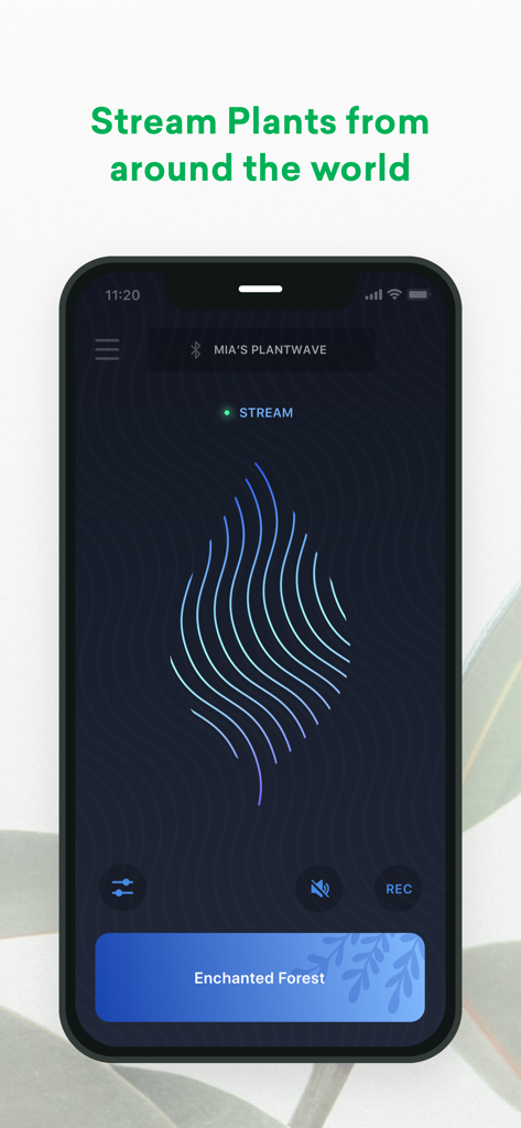 PlantWave - Tela do aplicativo PlantWave mostrando um stream ao vivo de música gerada por plantas com uma visualização de onda.