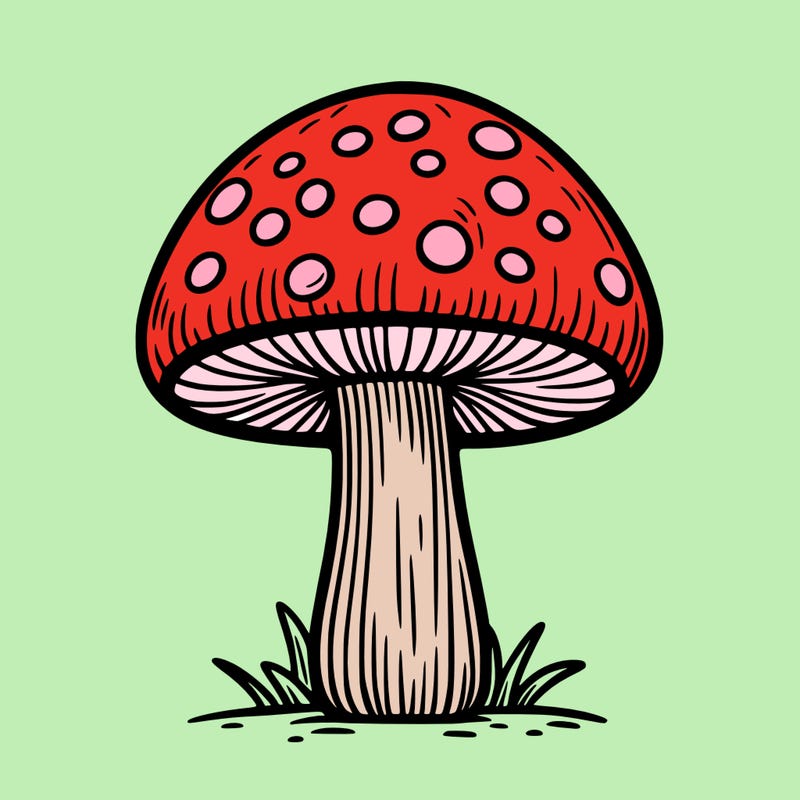 mushroom