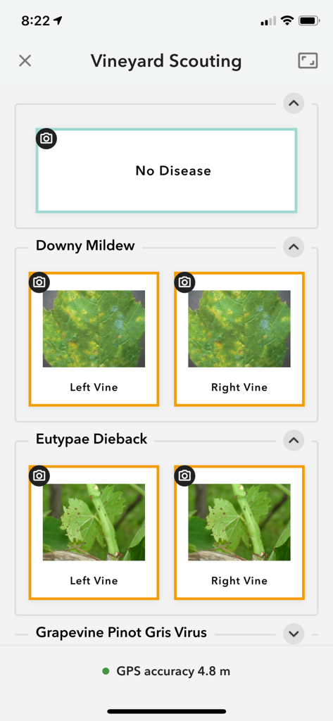 ArcGIS QuickCapture mobile app showing a vineyard scouting project with large buttons for disease identification.