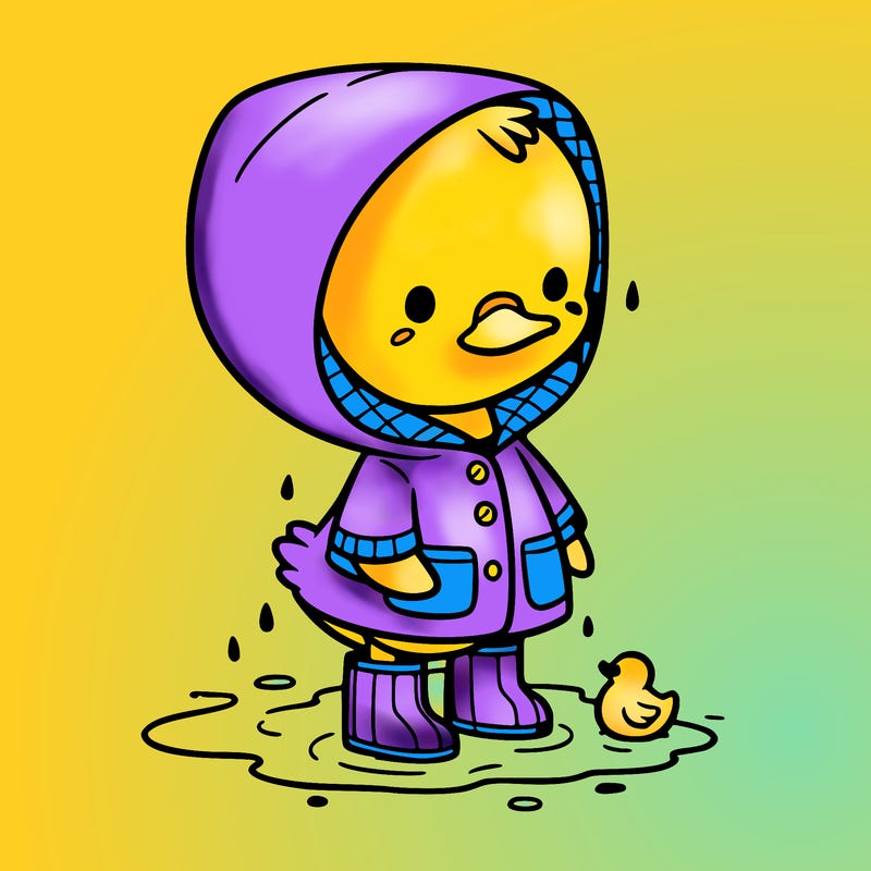 baby duck in a rain coat and boots, in a puddle while it’s raining