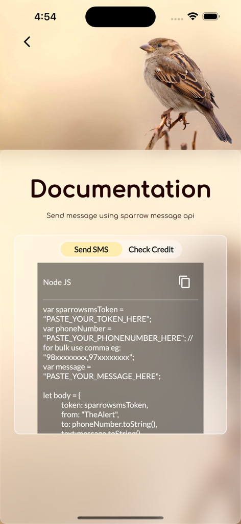My Sparrow SMS - API documentation screen showing a Node JS code snippet for sending messages via Sparrow SMS