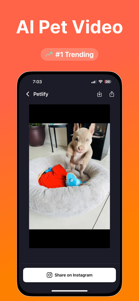 AI Pet Dance - Petlify Video - Interface do aplicativo AI Pet Dance apresentando um vídeo de filhote e um botão para compartilhar no Instagram