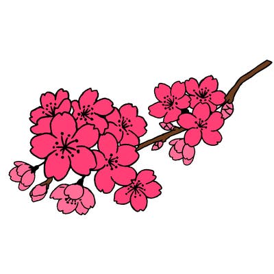 japan_week_08