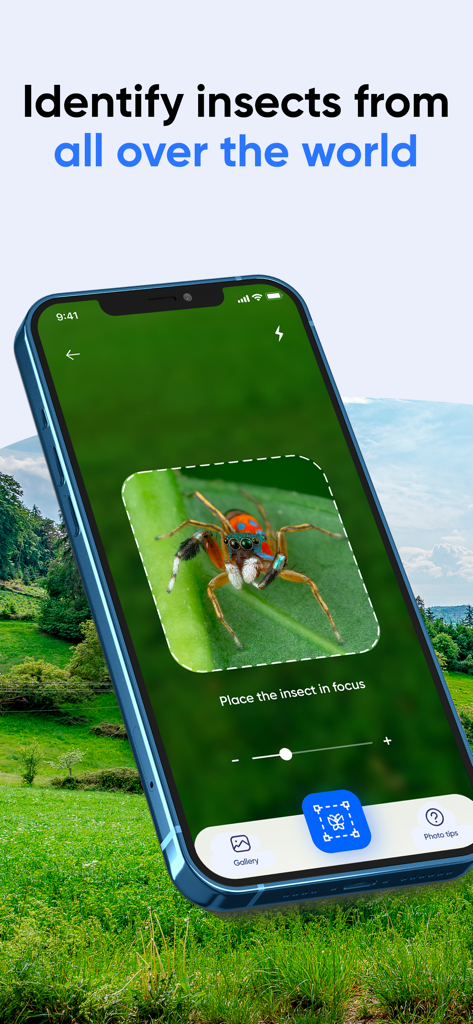 Smartphone screen showing the Bug Identifier app scanning a colorful spider on a leaf