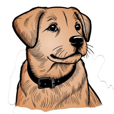 dog realistic