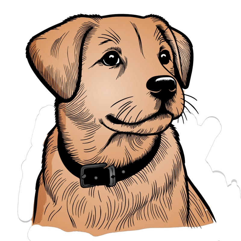 dog realistic