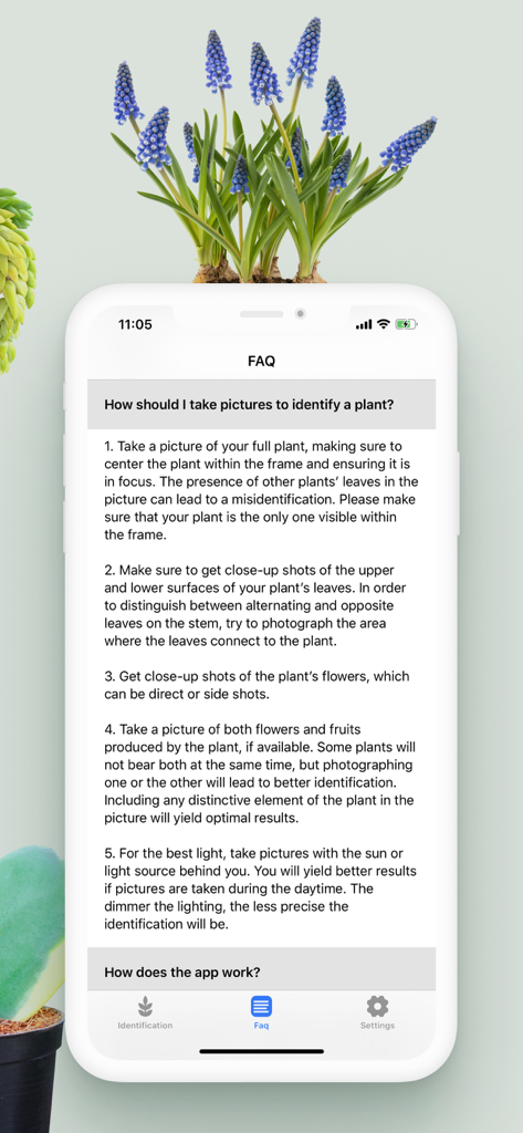 Écran FAQ de l'application Plant ID Match expliquant comment prendre des photos claires pour l'identification des plantes
