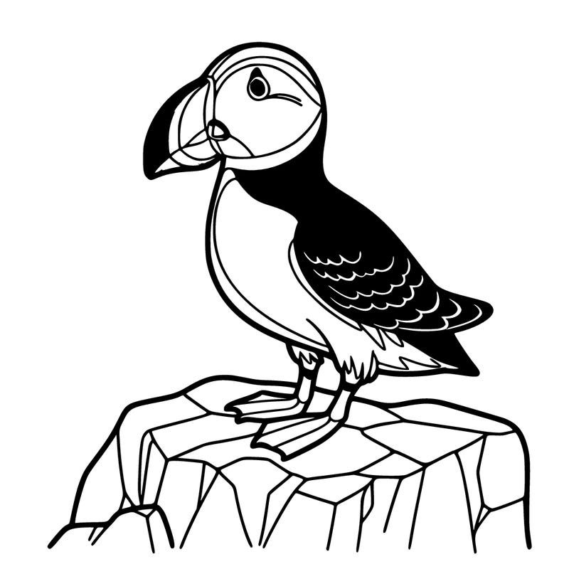 create a simple outline of a puffin standing on a cliff, with its colorful beak and webbed feet emphasized.