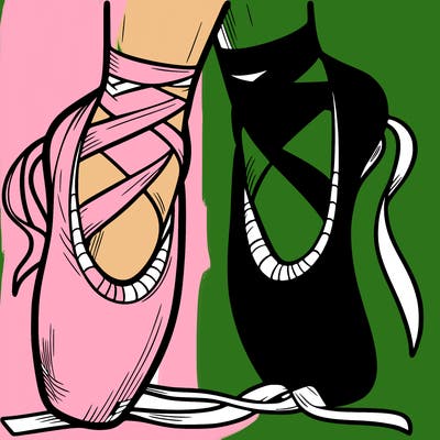 ballet shoes