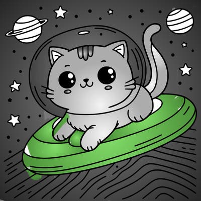 cat in space