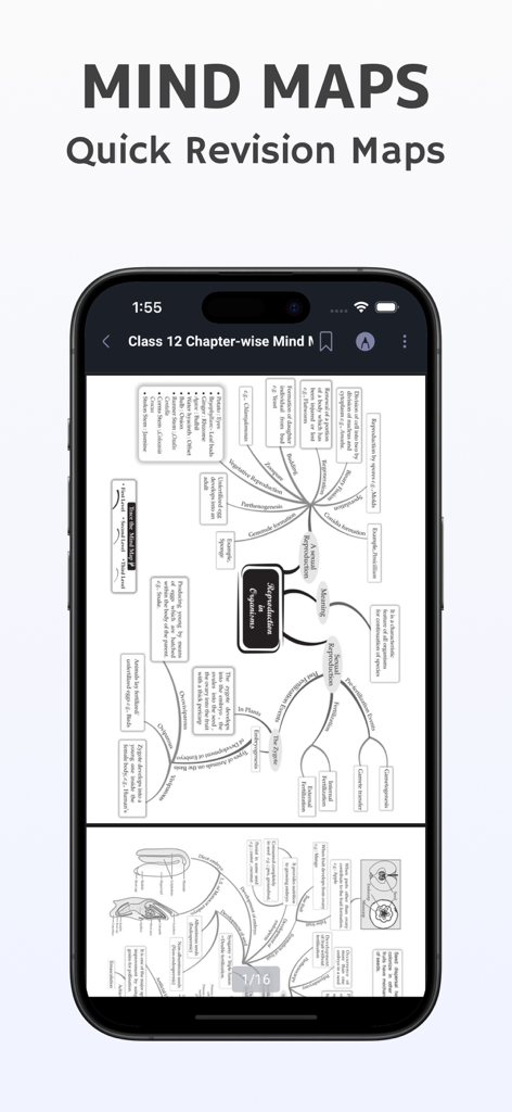 NEET: Past Solved Papers - NEET biology revision mind maps for quick exam preparation on a mobile screen