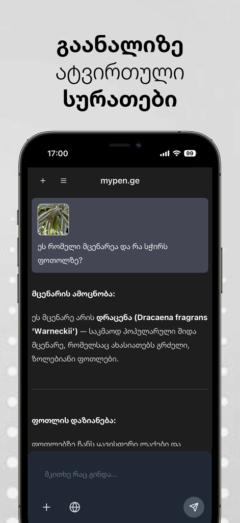Mypen.ge - Mypen.ge app interface showing image analysis and text generation in Georgian language