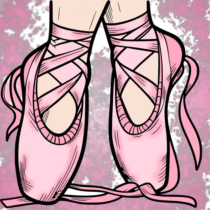ballet shoes