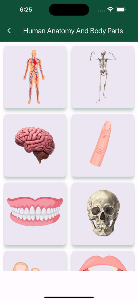 Human Anatomy And Body Parts - Grid of anatomy stickers including a brain skull and skeletal system