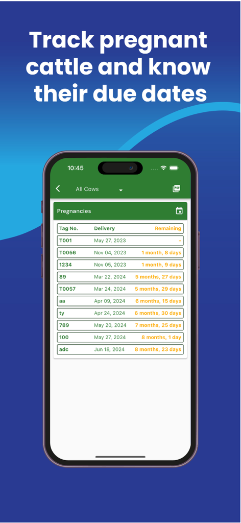 Eine Liste von Rinder-Schwangerschaften mit Angabe von Ohrmarkennummern, Abfohlterminen und verbleibender Zeit