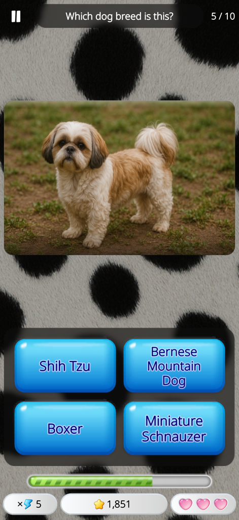 Guess the Animal: Quiz Game - Una pregunta de identificación de raza de perro Shih Tzu en el juego de preguntas Adivina el Animal